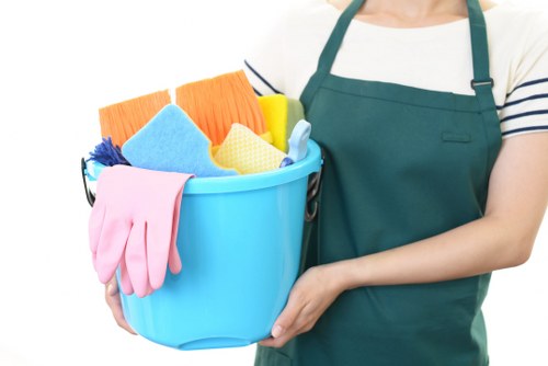 Professional after builders cleaning in an empty property with dust removal