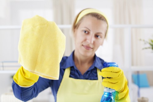 Professional move in cleaning for a fresh new home