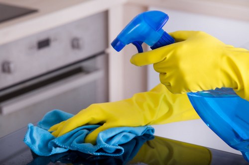 Regular cleaning routine in a modern home with tidy surfaces