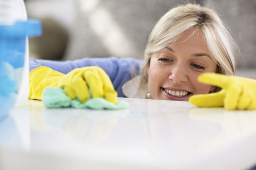 Eco-friendly domestic cleaning products and reusable cloths