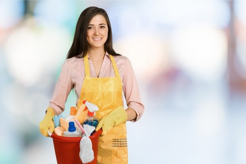 Upholstery cleaning tools arranged for sofa maintenance