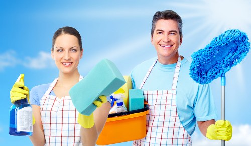 Cleaning supplies prepared for oven cleaning