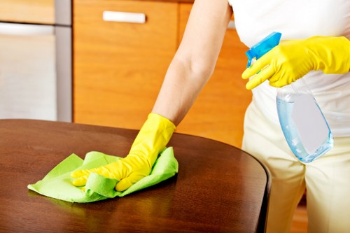 Living room deep cleaning with organized furniture and dust-free surfaces